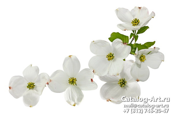 Натяжные потолки с фотопечатью - Белые цветы 5
